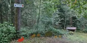 fhrenacker-24-14_54020590645_o