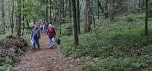 fhrenacker-24-15_54019246987_o