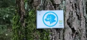 fhrenacker-24-17_54020590690_o