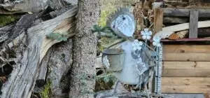 fhrenacker-24-23_54020590710_o