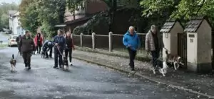 fhrenacker-24-24_54020590620_o