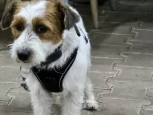 fhrenacker-24-30_54020143831_o