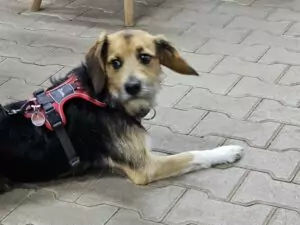 fhrenacker-24-31_54020590590_o