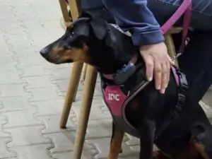 fhrenacker-24-32_54020379203_o