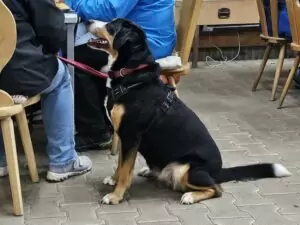 fhrenacker-24-33_54020379208_o