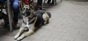 fhrenacker-24-37_54020143796_o