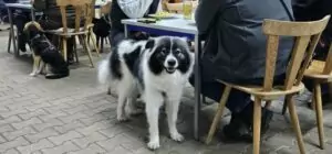 fhrenacker-24-38_54020480654_o