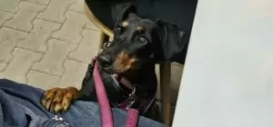 fhrenacker-24-39_54020590515_o