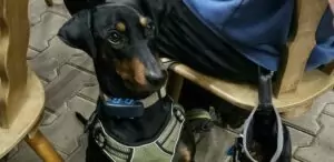 fhrenacker-24-40_54020480644_o