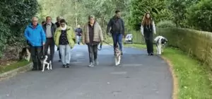 fhrenacker-24-4_54020379368_o