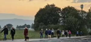 schnbrunn-24-13_54003708611_o