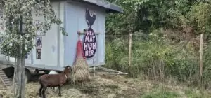 schnbrunn-24-3_54003940223_o