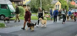 schnbrunn-24-5_54004033384_o