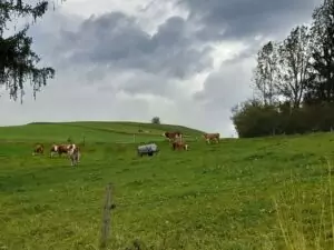 img-20241014-wa0037_54070980914_o