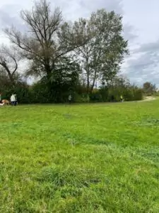 img-20241014-wa0043_54070904378_o