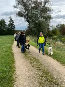 img-20241014-wa0045_54070652136_o