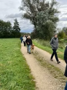 img-20241014-wa0046_54070652131_o