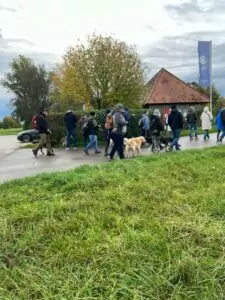 img-20241014-wa0049_54070980979_o