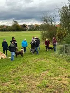 img-20241014-wa0055_54070904278_o