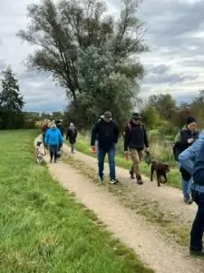 img-20241014-wa0060_54070904258_o