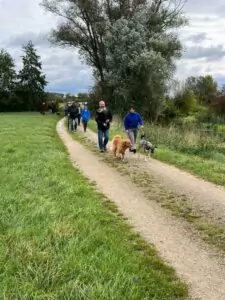 img-20241014-wa0061_54071107410_o