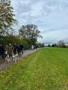 img-20241014-wa0065_54070652021_o