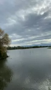 img-20241014-wa0066_54069773592_o