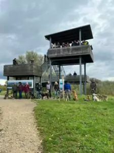 img-20241014-wa0067_54071107395_o