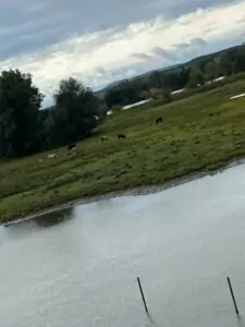 img-20241014-wa0068_54071107390_o