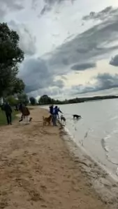 img-20241014-wa0073_54070980729_o