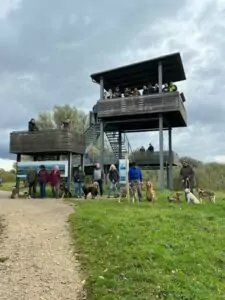 img-20241014-wa0075_54070904183_o