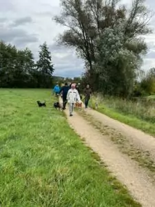 img-20241014-wa0082_54070651981_o