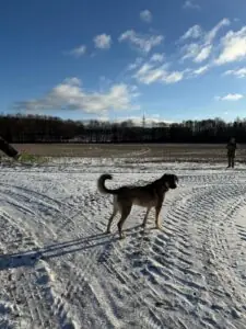 479dcbab-6109-488d-8386-1672a202f3f4