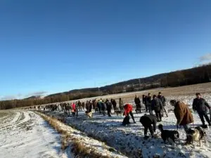 89a03b98-eee0-4553-a2b9-41e0908da301