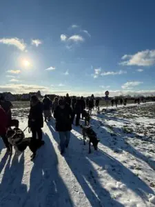 a52ea0b6-dc5a-430c-9895-5ed9cc0c74ab