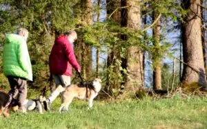 04d4cbf7-d2bd-4aac-afeb-2fab99f81b4c