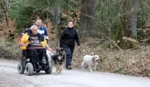 07d3037b-563c-4fcb-b11b-3226f767d987