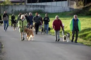 08f06990-dd38-4bcb-9243-ed233c2ef6cb