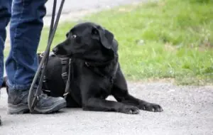 0cef8f20-b27a-4af5-94bb-0e3e8af0e844