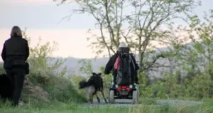 0dfaf495-4063-49d4-a240-94cabf781364