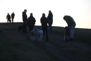 1516b1b6-52cd-4cd8-9fa8-58cfc8e52662