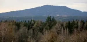 15c152a6-1d3b-4569-b579-6dee76c42921