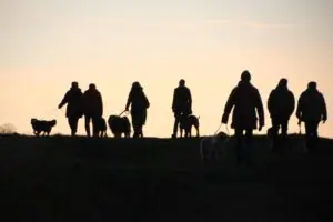 1aba3ed3-7e2d-4d64-be54-d2441fa04304