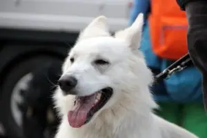 1d532ee3-0b62-4827-8527-3251dfc546fe