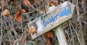 1ed3d687-1f58-45e1-b7eb-4f3206ca175b