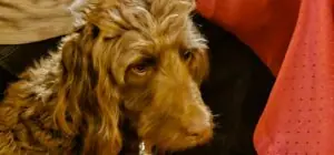 210d565a-f349-4298-85e1-b4dad540cb64