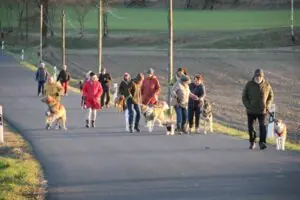 23e3c67f-63a0-4152-8fcd-fc2067eaa14f