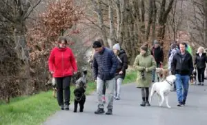 2a5edb2f-3e75-4103-a967-bb3112d2b022