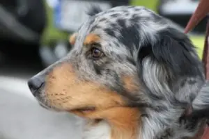 359e7747-5bde-40dd-842c-b2bb9909b0c5