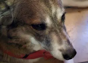 3e70ae10-4fa3-4bc9-920d-9a3afbf18717